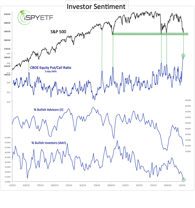 investor sentiment